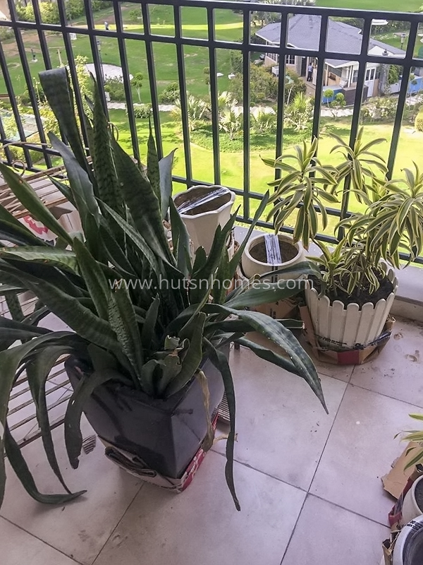 2 BHK Condo For Rent in Sohna Road