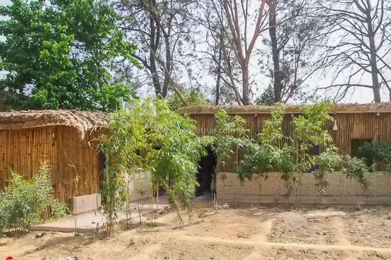 8 BHK Farm House For Rent in Dlf Chattarpur Farms